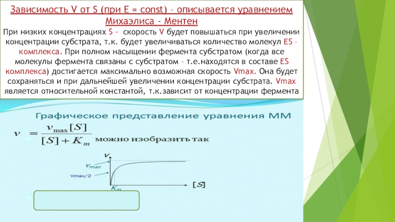 Низкая концентрация. Коэффициент Михаэлиса Ментен. Уравнение Михаэлиса-Ментен при очень высокой концентрации субстрата. График Михаэлиса-Ментен. Теория фермент субстратного комплекса Михаэлиса Ментен.