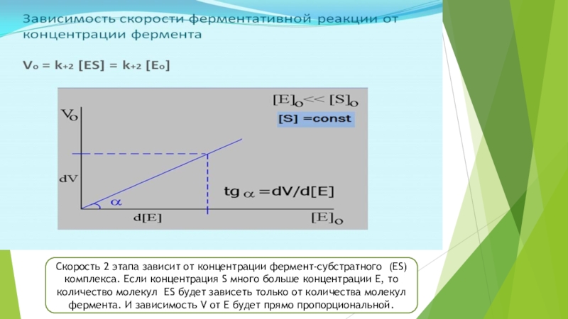 Этапа зависит от. Зависимость концентрации молекул от объема. Скорость ферментативной реакции формула. Скорость ферментативной реакции прямо пропорциональна. Зависимость VP от концентрации и от t.