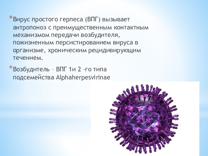 Вирус герпеса 2. Вирус простого герпеса 1 типа возбудитель. Вирус герпеса презентация.