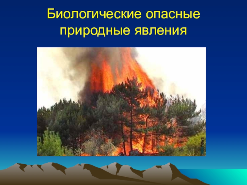 Лесной пожар относится к биологически опасным явлениям. Опасные природные явления. Опасные природные явления ОБЖ. Биологически опасные природные явления. Биологические явления ОБЖ.
