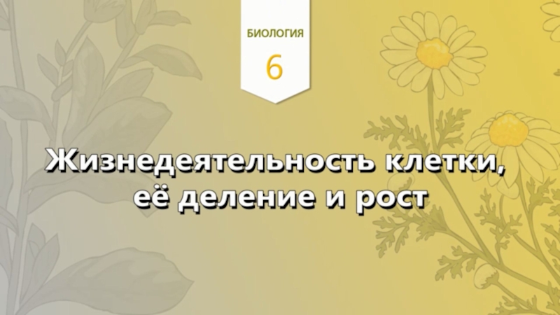 4. Жизнедеятельность клетки, ее деление и рост