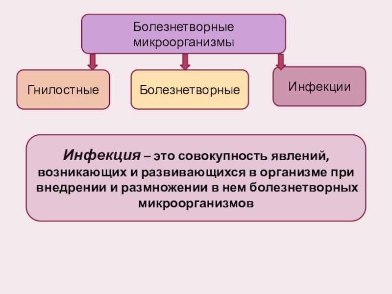 Совокупность явлений. Инфекция это совокупность явлений. Болезнетворные условия это. Совокупность явлений возникающих и развивающихся в макроорганизме. Место внедрения микроорганизма в организм называется.