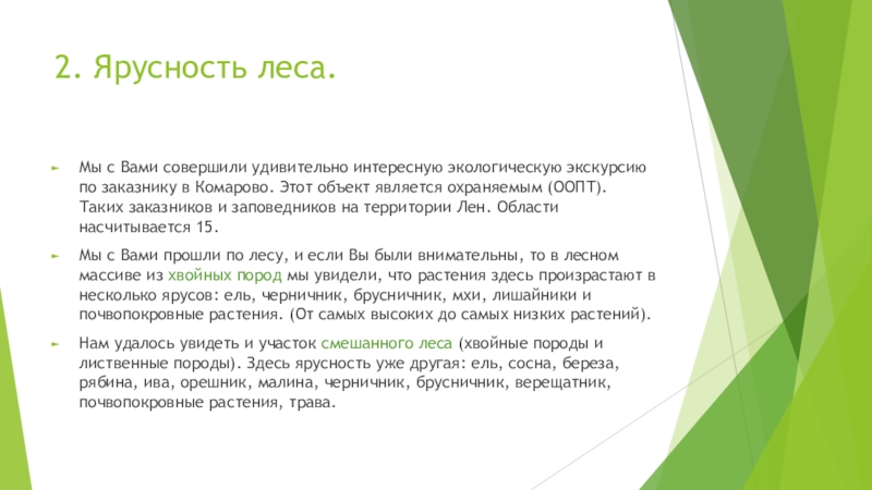 2. Ярусность леса.Мы с Вами совершили удивительно интересную экологическую экскурсию по заказнику в Комарово. Этот объект является