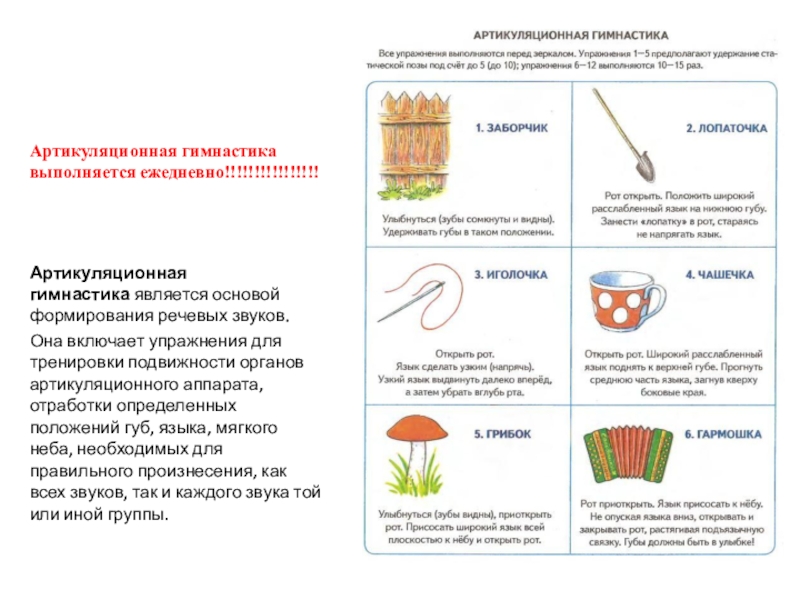 Артикуляционная гимнастика выполняется