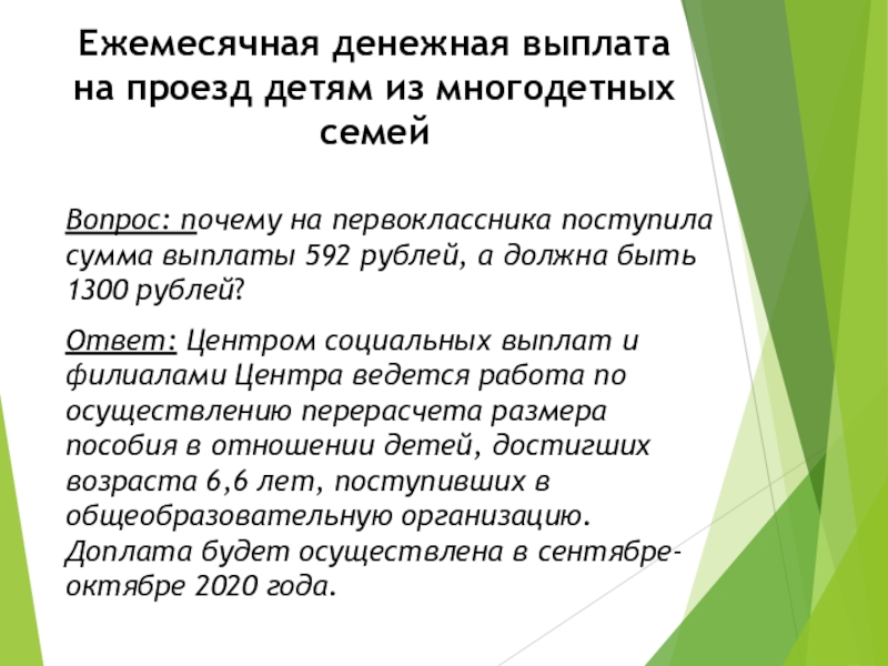 Проездной ребенку из многодетной семьи