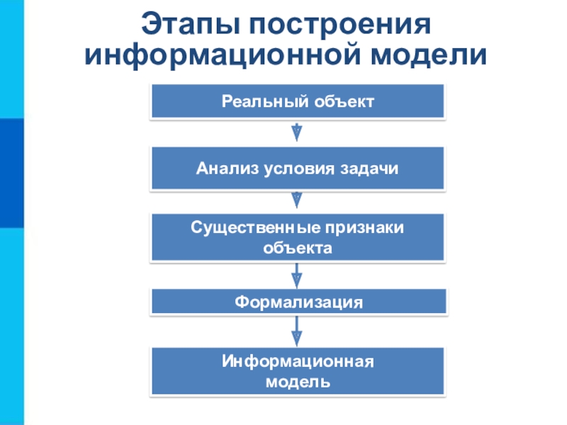 В информационной модели компьютера представленной в виде схемы отражается