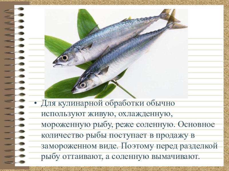 Организация обработки рыбы. Обработка рыбы. Механическая обработка рыбы. Механическая кулинарная обработка рыбы. Виды кулинарной обработки рыбы виды.
