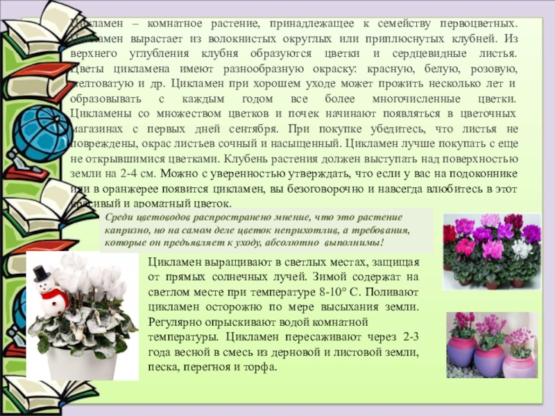 Ученика растений. День благодарности комнатным растениям. Задачи доклада на тему комнатные растения. «Вокруг света с комнатными растениями».экологический журнал. День признательности комнатным растениям.