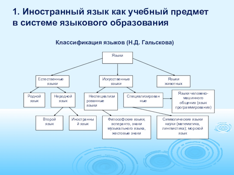 Система языкового образования схема