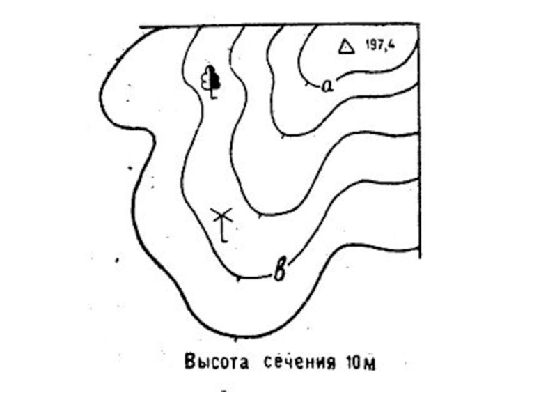 Отметка высоты горизонтали на рисунке высота сечения рельефа 2 5 м