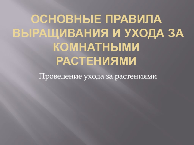 Основные правила выращивания и ухода за комнатными растениями