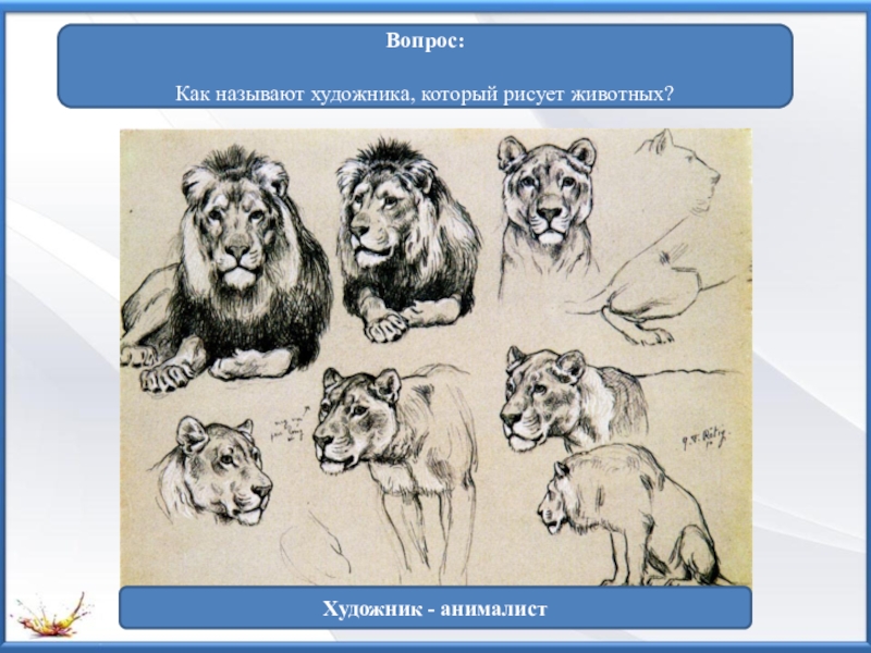 Как назвать рисовать. Лидер животных нарисовать.