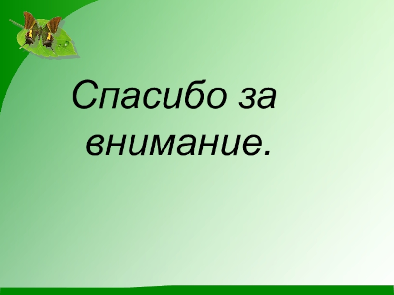 Спасибо за внимание для презентации с природой