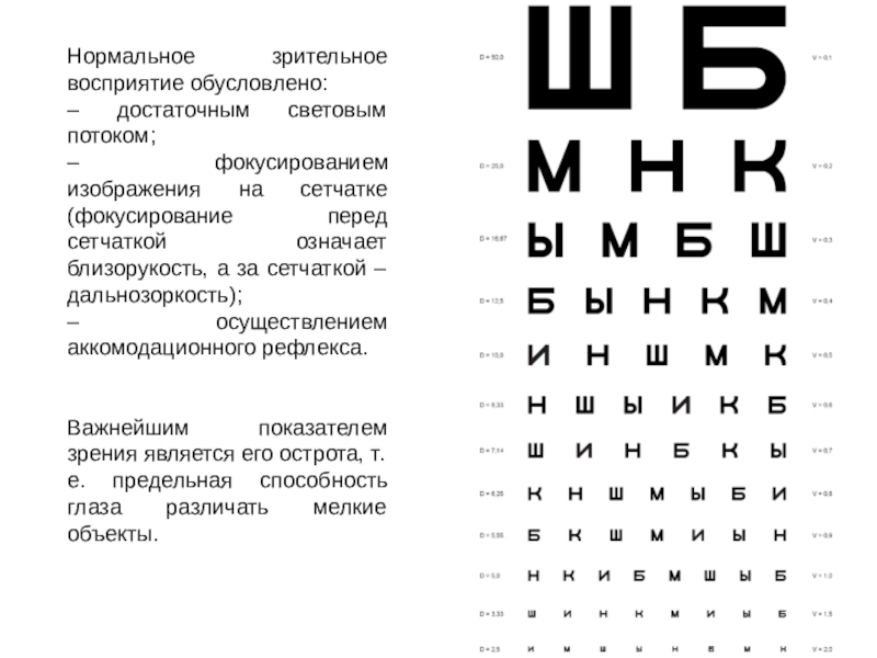 Нормальное зрительное восприятие обусловлено фокусированием изображения на сетчатке