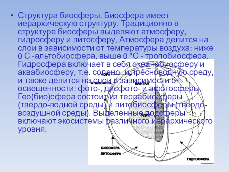 Эволюция атмосферы. Структура биосферы. Иерархическая структура биосферы. Структура и функции биосферы. Биосфера ее структура и функции.