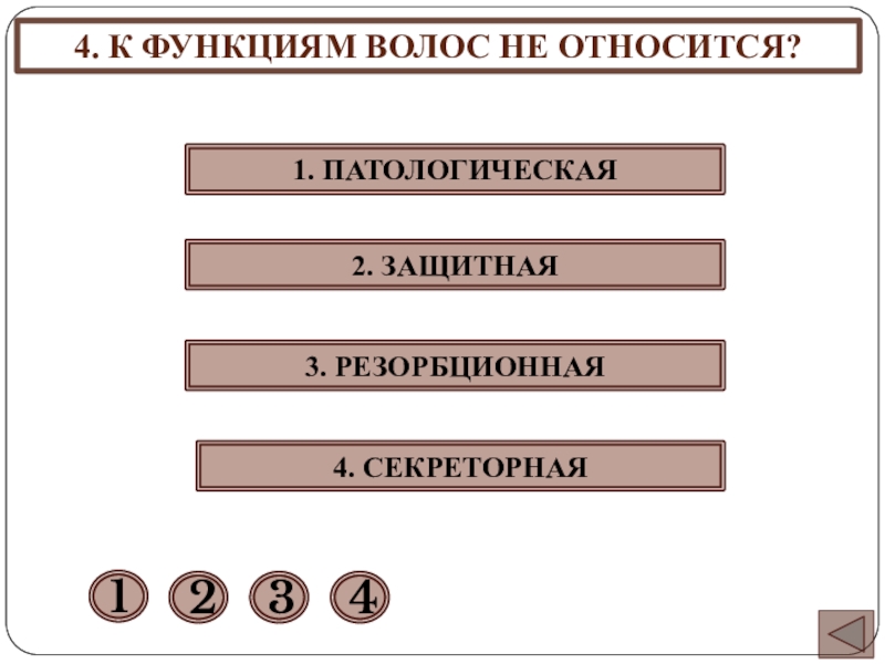 Функции волос. Функции волос : 1 защитная.