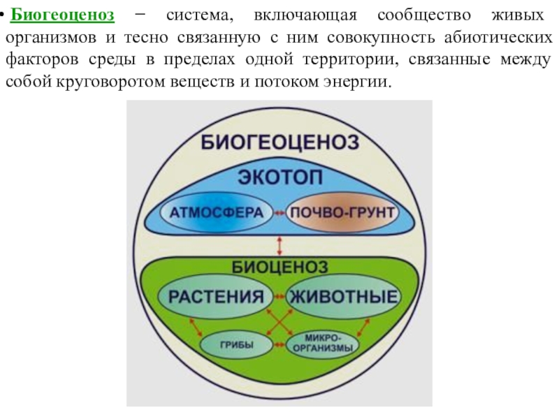 Многообразие биогеоценозов суши 10 класс презентация