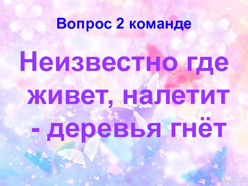 Без рук без ног а дерево гнет. Голубой шатер всю землю покрыл что это загадка.