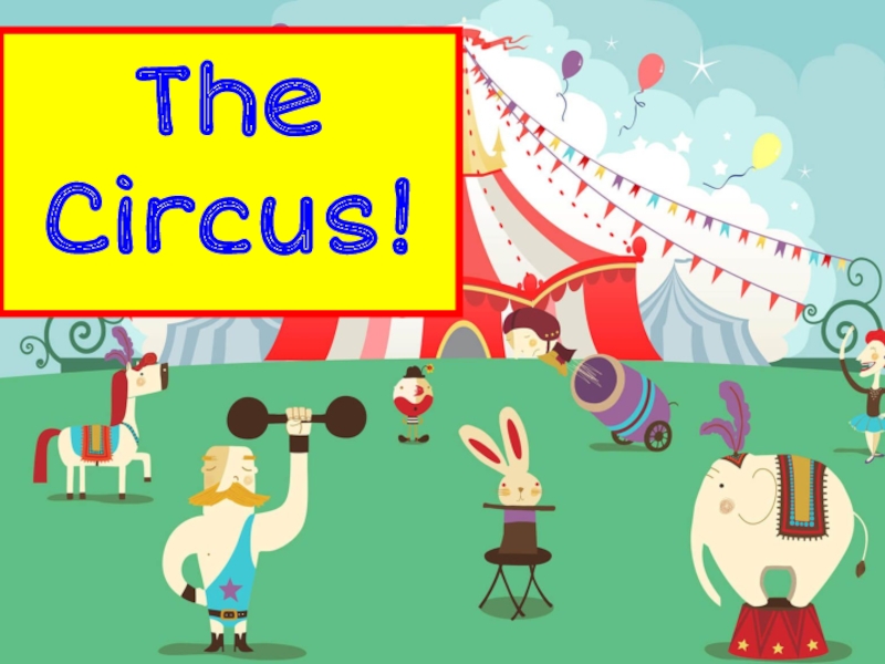 The Circus!