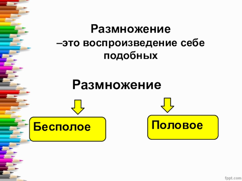 Воспроизведение себе подобных это. Бесполое размножение это воспроизведение себе подобных. 1.Воспроизведение себе подобных называется. Воспроизведение себе подобных это потребность.