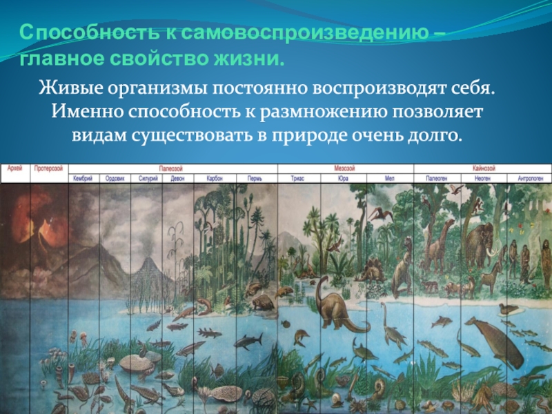 Способность живых организмов ориентироваться во внешнем мире. Способность организмов к самовоспроизведению это. Потенциальные возможности организмов. Все живые организмы способны к росту. Возможности размножения организмов и их ограничения средой.