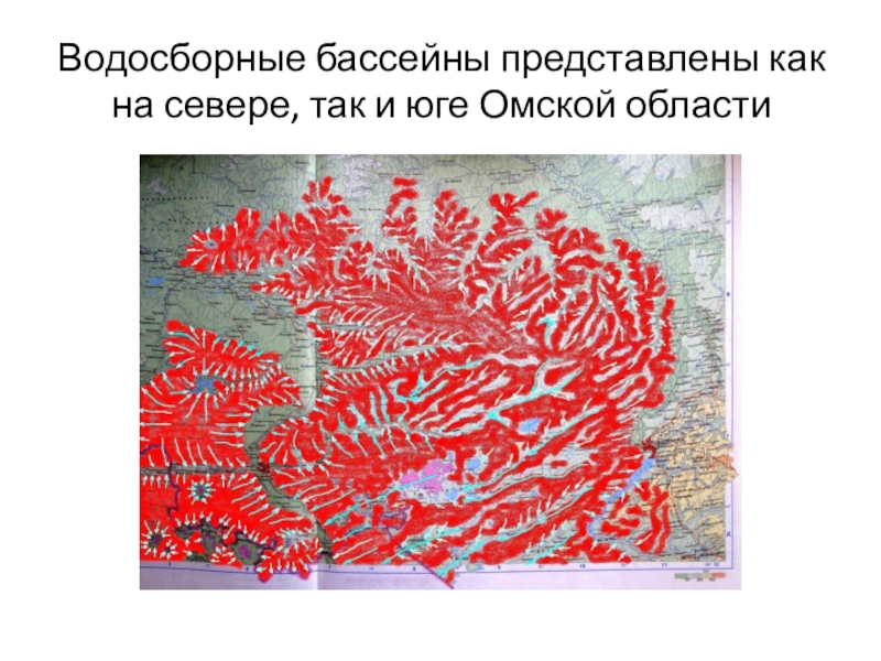 Водосборные бассейны представлены как на севере, так и юге Омской области