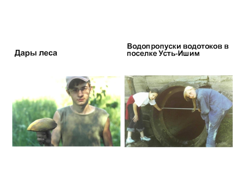 Дары лесаВодопропуски водотоков в поселке Усть-Ишим