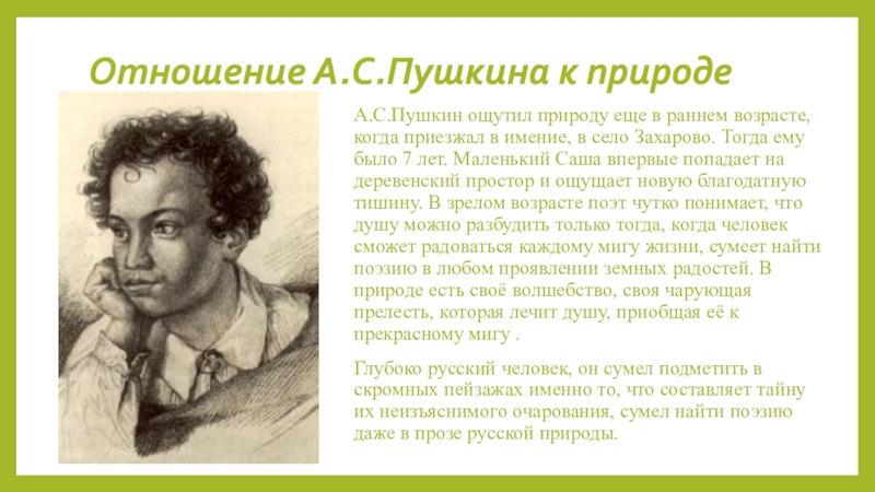 Как пушкин относится. Мир Пушкина презентация. Отношение Пушкина к природе. Пушкин в раннем возрасте. Поэтический мир Пушкина.