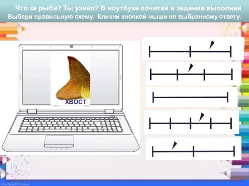 СП ГБОУ СОШ №4 г. Чапаевск – ДС №20 ЛАСТОЧКА
МУЛЬТИМЕДИЙНОЕ ДИДАКТИЧЕСКОЕ Что за рыба? Ты узнал? В ноутбуке почитай и задания Что за рыба? Ты узнал? В ноутбуке почитай и задания выполняйВыбери правильную схему. Кликни кнопкой