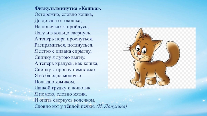 Кошка будто. Физкультминутка про кота. Физкультминутка про кота для детей. Физкультминутка котенок для дошкольников. Физкультминутка кошка и котята.