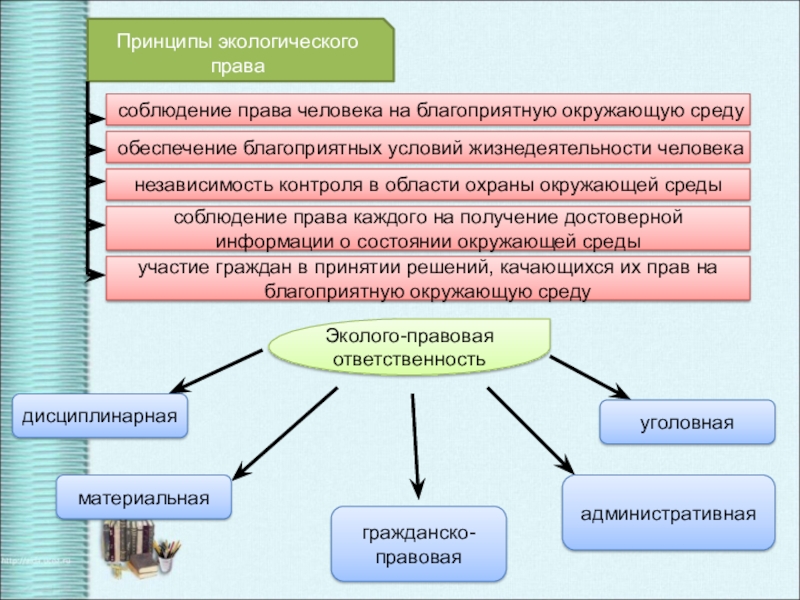 Проект экологическое право 10 класс