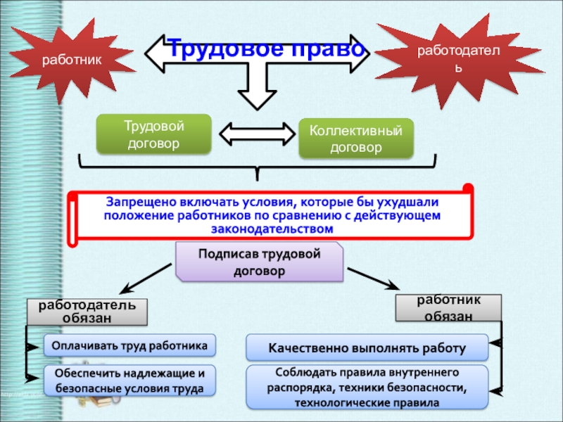 Трудовое право обществознание план