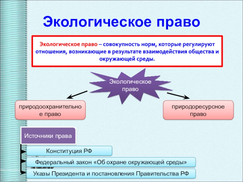 Национальный проект обществознание