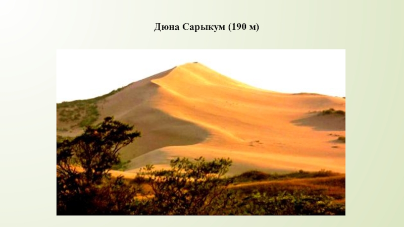 Экзотика россии 8 класс. Бархан Сарыкум. Бархан Сарыкум в Дагестане. Гора Бархан Сарыкум. Бархан Сарыкум заповедник.