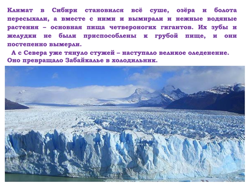 Климат века. Климат Сибири. Доклад климат Сибири. Климат в Сибири через 60 лет. Климат Сибири стал более мягким.