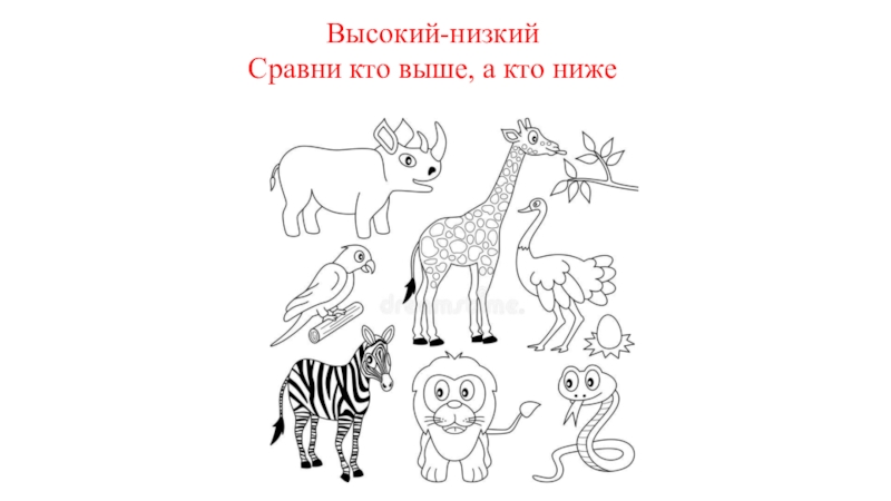 Выше ниже. Высокий-низкий задания для детей. Высокий низкий для дошкольников. Выше ниже задания для дошкольников. Выше-ниже для детей задания.