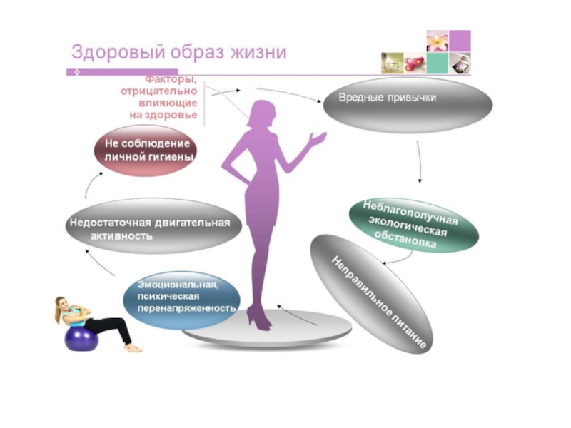 Инфографика здоровый образ жизни