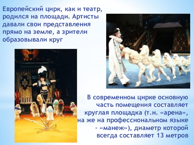 Клуб Подружка В современном цирке основную часть помещения составляет круглая площадка (т.н. В современном цирке основную часть помещения составляет круглая площадка (т.н. «арена», она же на профессиональном языке