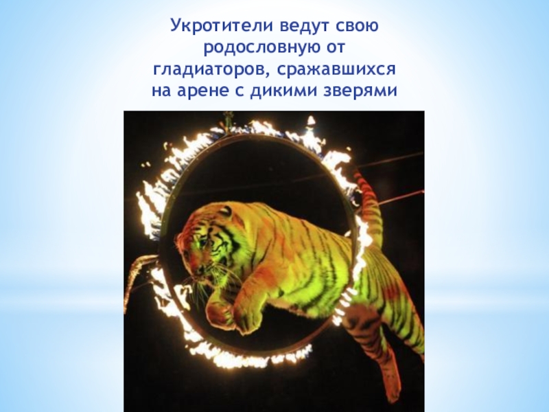 Клуб Подружка Укротители ведут свою родословную от гладиаторов, сражавшихся на арене с дикими зверями Укротители ведут свою родословную от гладиаторов, сражавшихся на арене с дикими зверями