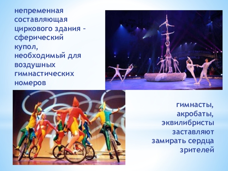 Клуб Подружка непременная составляющая циркового здания – сферический купол, необходимый для воздушных гимнастических непременная составляющая циркового здания – сферический купол, необходимый для воздушных гимнастических номеров гимнасты, акробаты, эквилибристы заставляют замирать