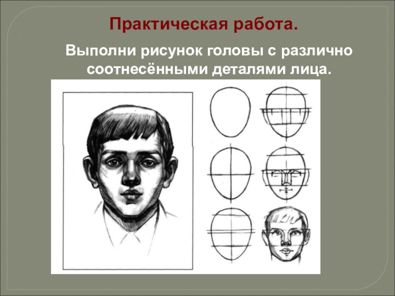 Эстетические пропорции лица презентация