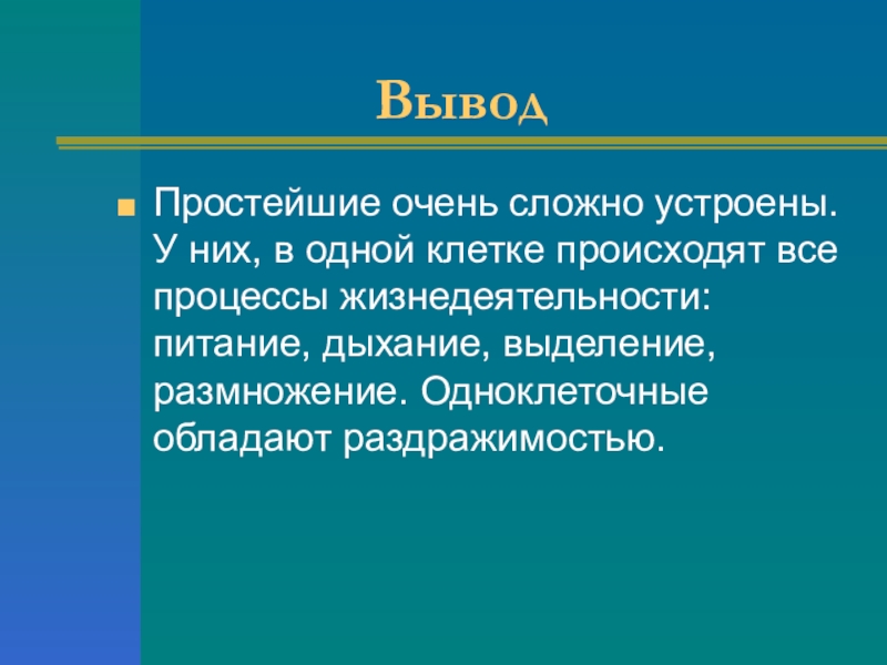 Простейшие заключение. Простейшие вывод. Заключение простейших. Вывод по теме простейшие. Вывод о простейших 7 класс.