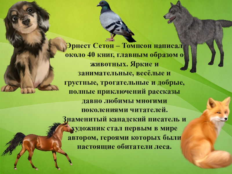 Лук сетон описание. Сетон Томпсон презентация 5 класс. Сетон-Томпсон животные герои. Сетон Томпсон презентация 3 класс. Бинго Сетон Томпсон главные герои.