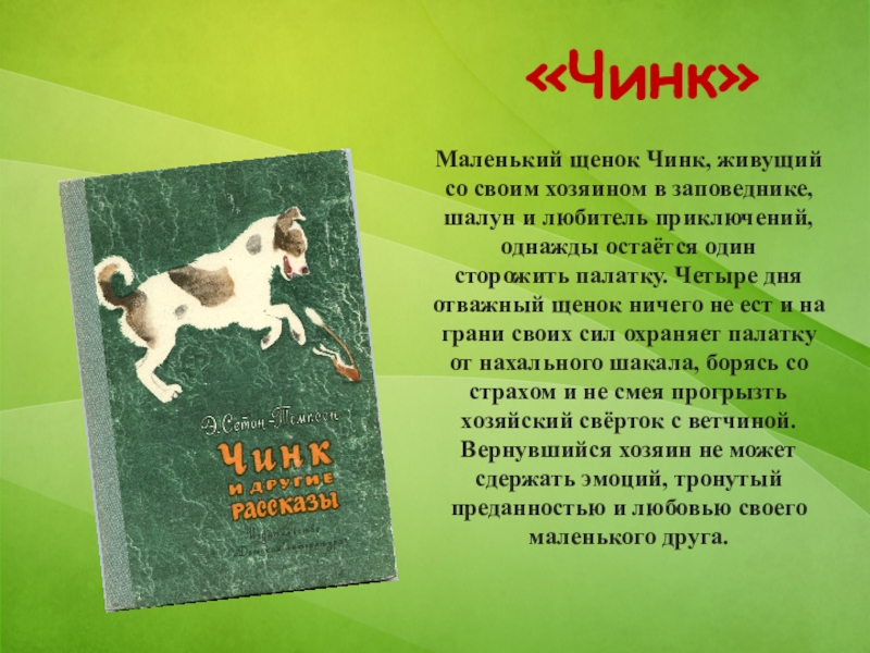 Рассказ чинк сетон томпсон. Эрнест Сетон-Томпсон Чинк. Рассказ Сетона Томпсона Чинк. Щенок Чинк. Сетон Томпсон Чинк краткое.