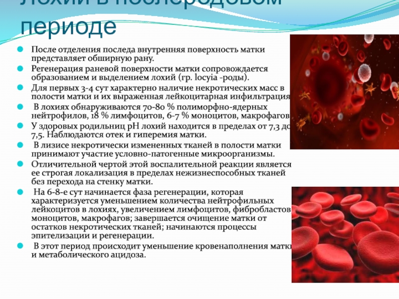 Лохии после родов. Лохии в послеродовом периоде.