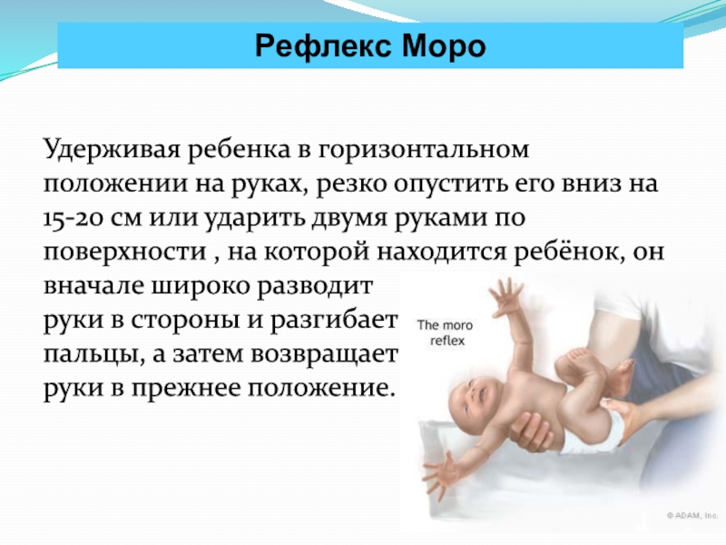 Рефлекс моро фото