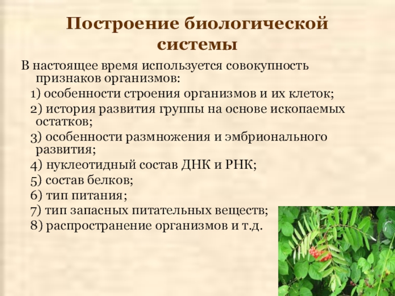 Многообразие органического мира презентация 11 класс биология