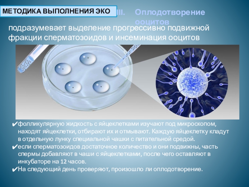 Экстракорпоральное оплодотворение презентация