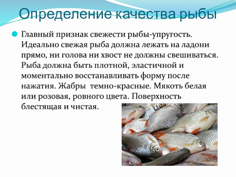 Какие мужчины нужны рыбам. Признаки качества рыбы. Определение свежести рыбы. Качества свежей рыбы. Как определить свежесть рыбы.