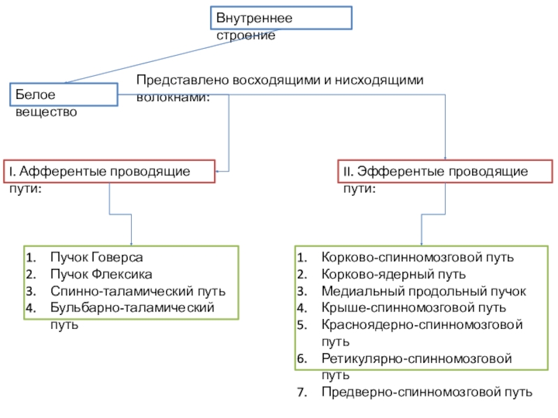 Структура белого